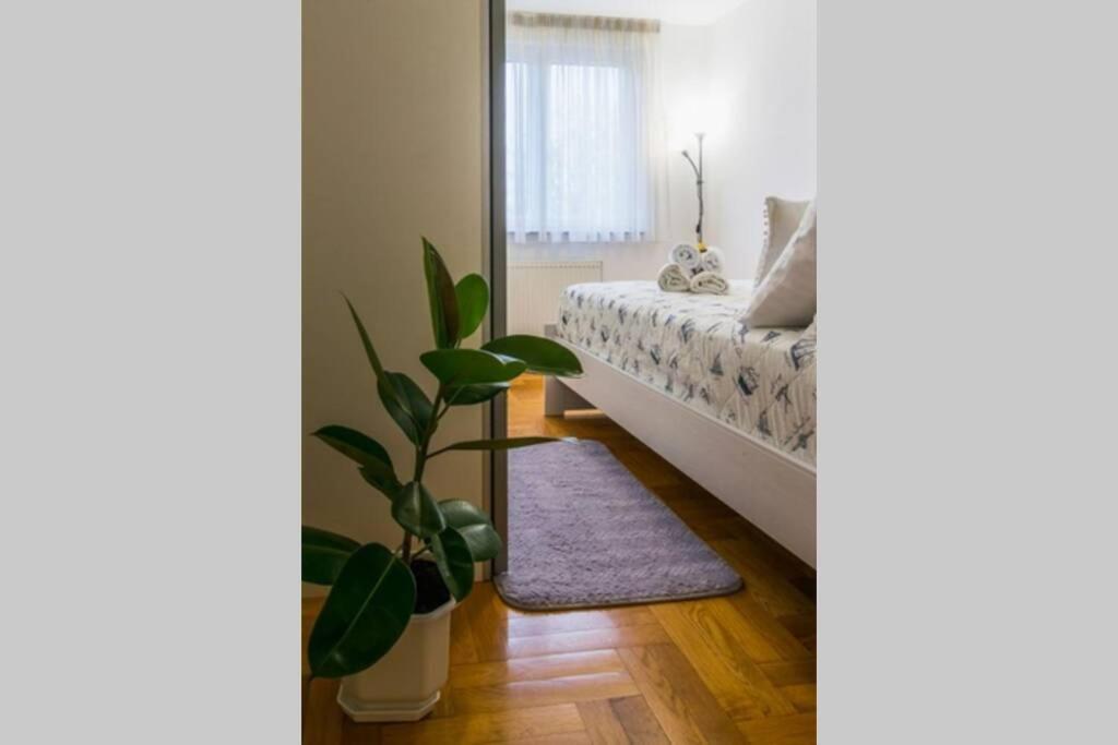Apartment Jarun Brac Zagreb Exterior photo